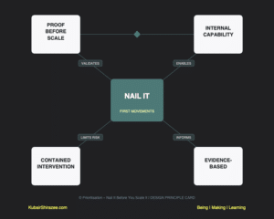 Design principle card showing nail it before you scale it approach to prioritisation interventions